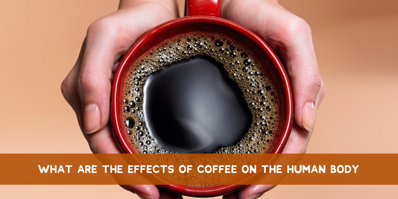 What Are The Effects Of Coffee On The Human Body